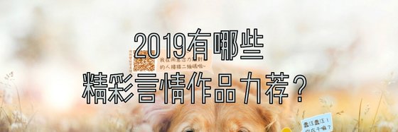 2019有哪些精彩言情作品力荐？